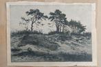 Ets Martin van Waning: “Zandverstuiving”, Ophalen of Verzenden