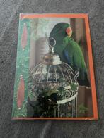 Kaart papegaai vogel edelpapegaai, Verzamelen, Nieuw, Opgezet dier, Vogel, Ophalen of Verzenden