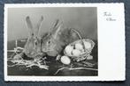 Konijnen en kippeneieren, pasen dus, 1941, Verzamelen, Ansichtkaarten | Dieren, Verzenden, 1940 tot 1960, Gelopen, Knaagdier