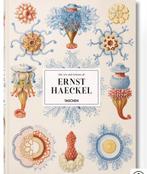 Ernst Haeckel: Kunst en Wetenschap XXL, Ophalen of Verzenden, Nieuw, Fotografie algemeen