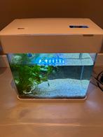 Aquarium panorama 20 LED, Dieren en Toebehoren, Ophalen of Verzenden, Gebruikt, Leeg aquarium