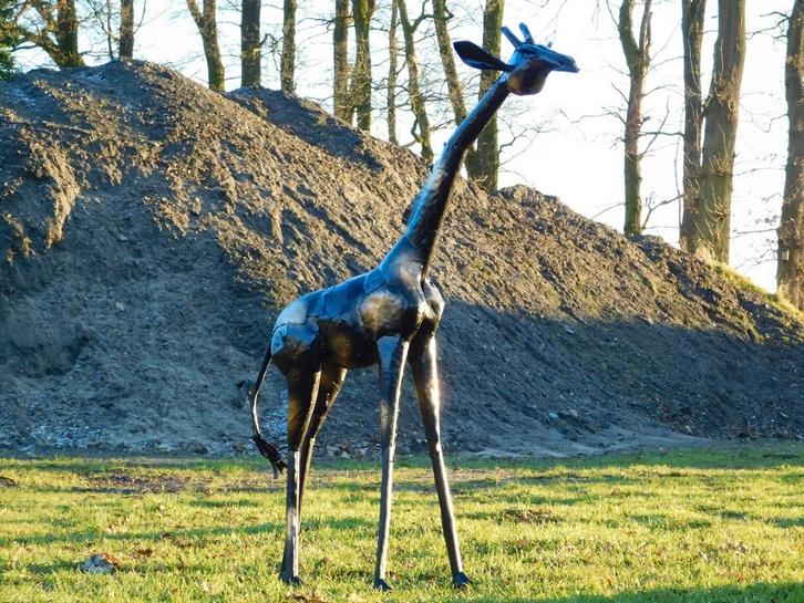 Handgemaakte Giraffe - 155 cm - Metaal, Verzamelen, Beelden en Beeldjes, Zo goed als nieuw, Mens, Ophalen of Verzenden