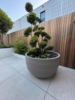 POTTENSHOP Bloempot groot Hoge pot zand pot plantenbak, Tuin, Kunststof, Verzenden, Nieuw