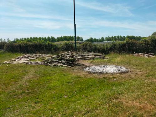 Grote partij wilgen stammen haardhout, Tuin en Terras, Haardhout, Stammen, Overige houtsoorten, 6 m³ of meer, Ophalen