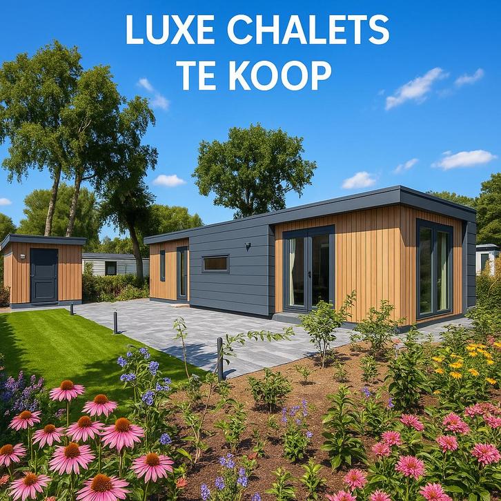 LUXE CHALET OP DE VELUWE, Caravans en Kamperen, Stacaravans, tot en met 4, Ophalen