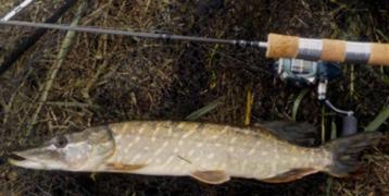 Deel 1) 2 sets van elk 4 stuks Baars Snoekspinners met vlieg beschikbaar voor biedingen