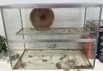 Hamsterhok/ hamsterkooi, Dieren en Toebehoren, Knaagdieren en Konijnen | Hokken en Kooien, Kooi, Minder dan 75 cm, Zo goed als nieuw