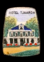 Tjaarda Oranjewoud speld, Verzenden, Zo goed als nieuw, Stad of Land, Speldje of Pin