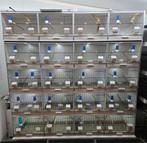 Gehu broedkooi in zeer goede staat, Dieren en Toebehoren, Ophalen, Zo goed als nieuw, Broedkooi of Kweekkooi