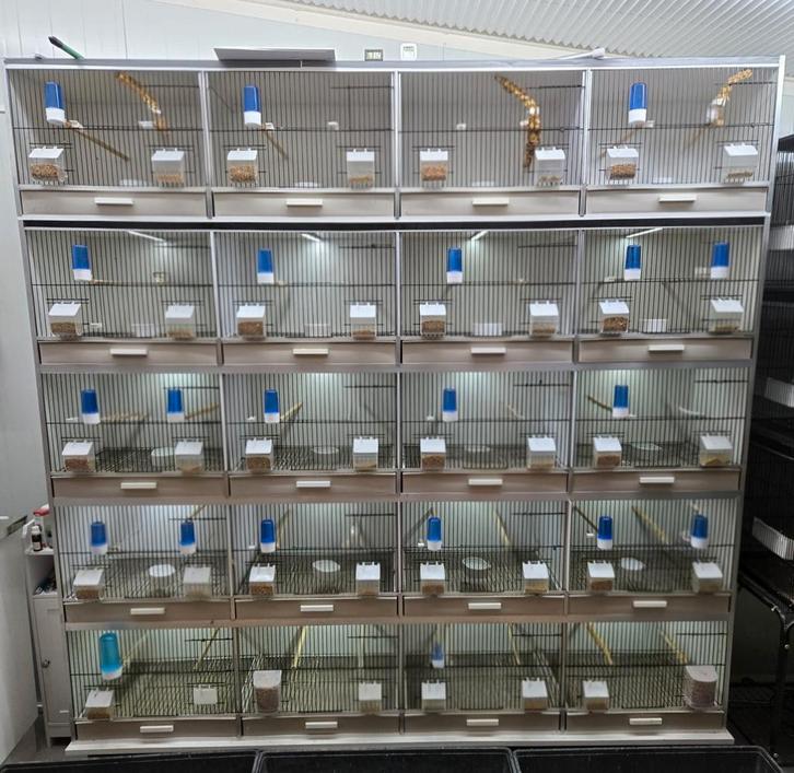 Gehu broedkooi in zeer goede staat, Dieren en Toebehoren, Vogels | Hokken en Kooien, Zo goed als nieuw, Broedkooi of Kweekkooi