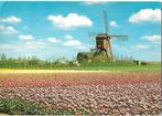 Cor-135    Molen, Verzenden, 1980 tot heden, Ongelopen