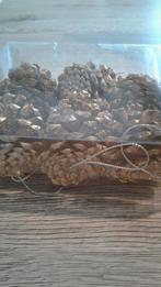 DENNENAPPELS, Ophalen of Verzenden, Nieuw