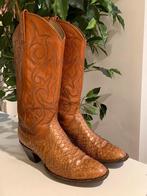 Dan Post hoge cowboylaarzen met hak 37 western boots laarzen, Kleding | Dames, Schoenen, Hoge laarzen, Bruin, Ophalen of Verzenden