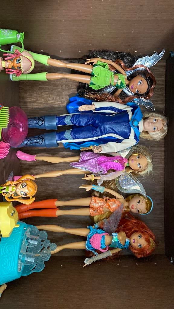Winx poppen, Ophalen of Verzenden, Zo goed als nieuw, Pop