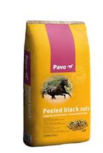 Pavo zwarte haver, Dieren en Toebehoren, Ophalen, Nieuw