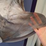 Taifun shirt grijs / ecru / bruin print gaas mt 40-42 41753, Kleding | Dames, Maat 38/40 (M), Taifun, Verzenden, .