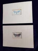 2x Franse kopergravure handgekleurd vlinder, Ophalen of Verzenden