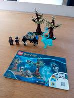 Lego 75945 Harry Potter: Expecto Patronum, Ophalen of Verzenden, Zo goed als nieuw