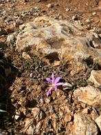 Gratis complete pedicure behandeling, Vacatures