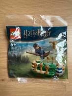 LEGO Harry Potter 30651 Quidditch Training, Ophalen of Verzenden, Nieuw, Complete set, Lego