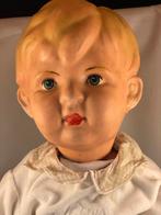 Pop Wildebras, Gebruikt, Ophalen of Verzenden, Wildebras, Pop