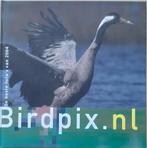 D. Schoonhoven - 2004, Ophalen of Verzenden, Zo goed als nieuw, D. Schoonhoven