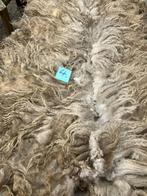 Racka wol, Dieren en Toebehoren, Meerdere dieren, Schaap