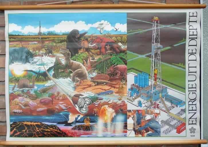 Oude schoolpaat met de winning van aardolie versus evolutie, Antiek en Kunst, Antiek | Schoolplaten, Natuur en Biologie, Ophalen of Verzenden