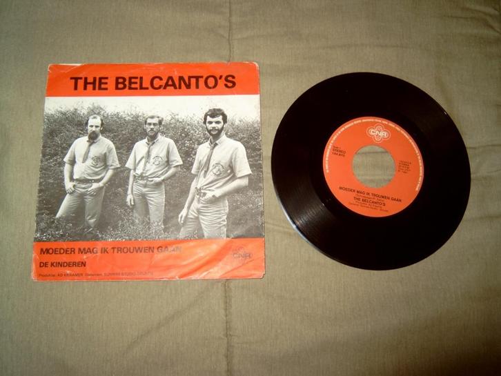 12 diverse Nederlandstalige singles te koop (3), Cd's en Dvd's, Vinyl | Nederlandstalig, Gebruikt, Ophalen of Verzenden