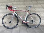 Bianchi Sempre full carbon racefiets maat 55, Fietsen en Brommers, Fietsen | Racefietsen, Gebruikt, Carbon, Meer dan 20 versnellingen