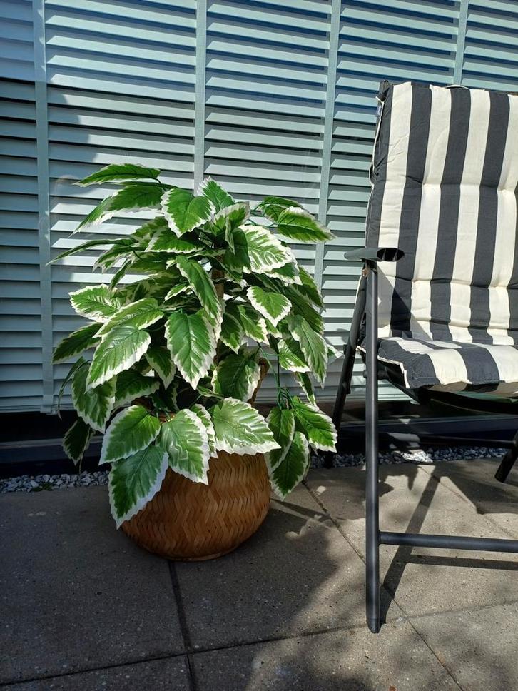 Kunstplant/Boom - 80cm - Realistisch, Huis en Inrichting, Kamerplanten, Ophalen of Verzenden