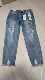 hello miss paris premium demin xl  nieuw !!, Ophalen of Verzenden, Nieuw, Blauw