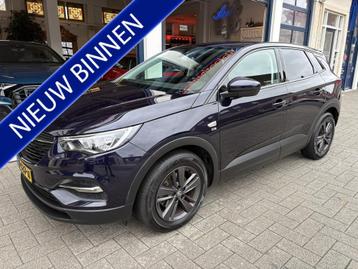 Opel Grandland X 1.2 Turbo 120 Jaar Edition NL AUTO/DEALER O beschikbaar voor biedingen