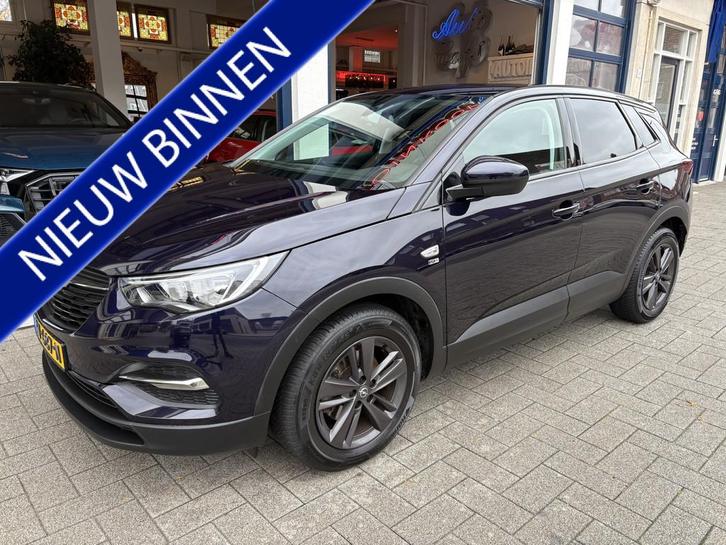 Opel Grandland X 1.2 Turbo 120 Jaar Edition NL AUTO/DEALER O, Auto's, Opel, Bedrijf, Te koop, Grandland X, ABS, Airbags, Airconditioning