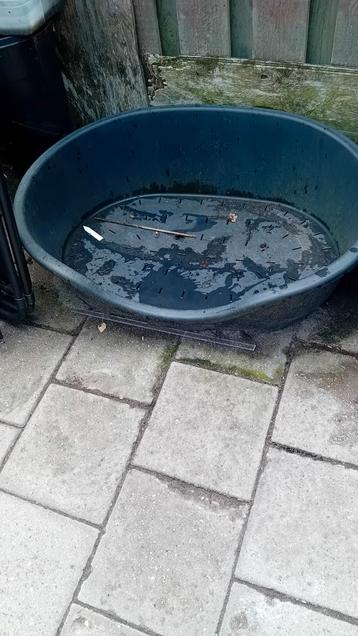 honden mand zwart beschikbaar voor biedingen