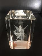 Hologram in glas, Ophalen, Zo goed als nieuw, Dier