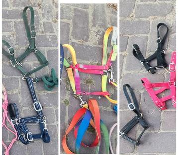 Halsters beschikbaar voor biedingen