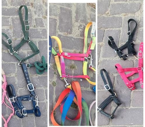 Halsters, Dieren en Toebehoren, Paarden en Pony's | Hoofdstellen en Tuigage, Zo goed als nieuw, Overige soorten, Ophalen of Verzenden