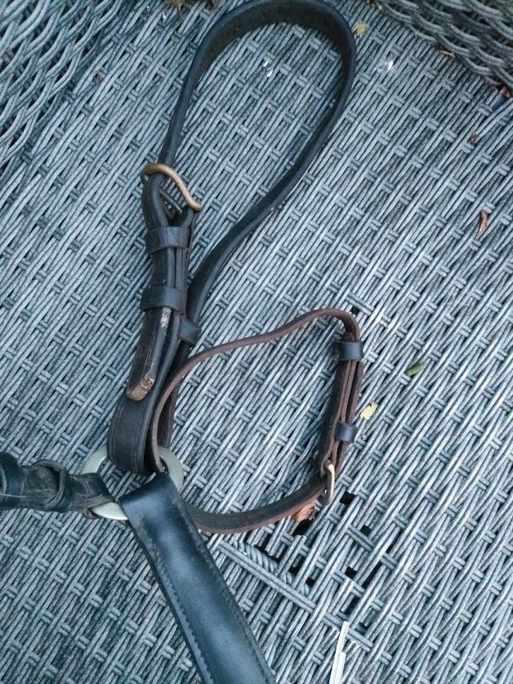 Broek mennen extra full, Dieren en Toebehoren, Paarden en Pony's | Hoofdstellen en Tuigage, Zo goed als nieuw, Dressuur, Ophalen of Verzenden