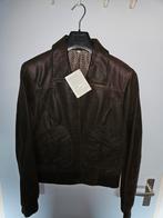 Nieuwe leren damesjas, lederen jas bruin, Ophalen, Nieuw, Maat 46/48 (XL) of groter, Bruin