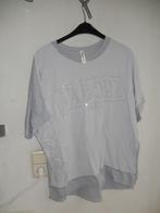 Licht paars shirt met glitter xxl (zgan), Kleding | Dames, T-shirts, Ophalen, Paars, Maat 46/48 (XL) of groter, Zo goed als nieuw