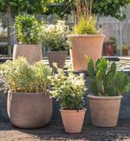 Gratis bloempotten, bloembakken gezocht, Minder dan 30 cm, Minder dan 60 cm, Rond, Ophalen of Verzenden