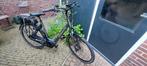 Pegasus Ravenna E8F 2021, Fietsen en Brommers, Elektrische fietsen, Zo goed als nieuw, 50 km per accu of meer, 55 tot 59 cm, Ophalen