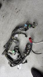 Honda civic ESI motorkabelboom, Ophalen of Verzenden