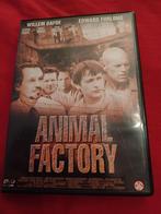 Animal factory, Cd's en Dvd's, Dvd's | Thrillers en Misdaad, Gebruikt, Ophalen of Verzenden