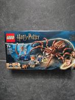 lego 76434 harry potter Aragog in het Verboden Bos let op, Kinderen en Baby's, Speelgoed | Duplo en Lego, Ophalen of Verzenden