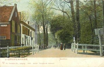 (300-179-003) Den Haag Boschhek beschikbaar voor biedingen