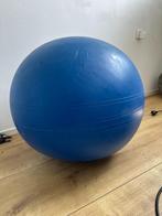 Togu zitbal 75 cm blauw | speciale zitbal, Ophalen of Verzenden, Gebruikt, Rug, Fitnessbal