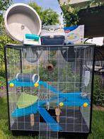 Rattenkooi + aluminuim loopwiel + accessoires, Ophalen, Zo goed als nieuw, 90 cm of meer, 75 tot 110 cm