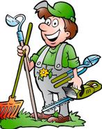 Goedkoopste tuinman, Hobby en Vrije tijd, Overige Hobby en Vrije tijd, Ophalen of Verzenden